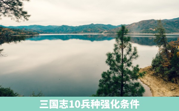 三国志10兵种强化条件