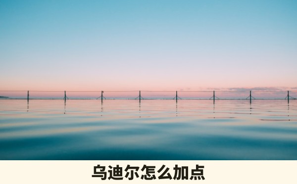 乌迪尔怎么加点