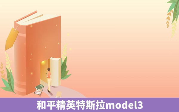 和平精英特斯拉model3