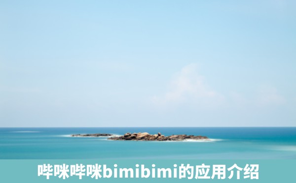 哔咪哔咪bimibimi的应用介绍