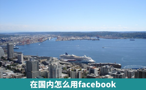 在国内怎么用facebook