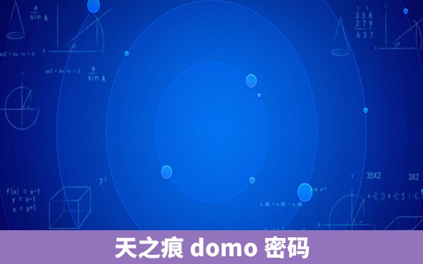 天之痕 domo 密码