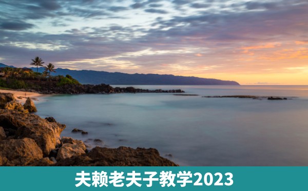 夫赖老夫子教学2023