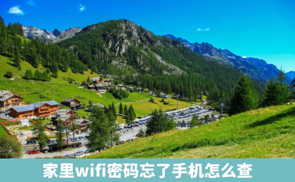 家里wifi密码忘了手机怎么查