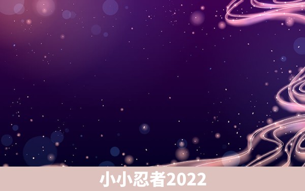 小小忍者2022