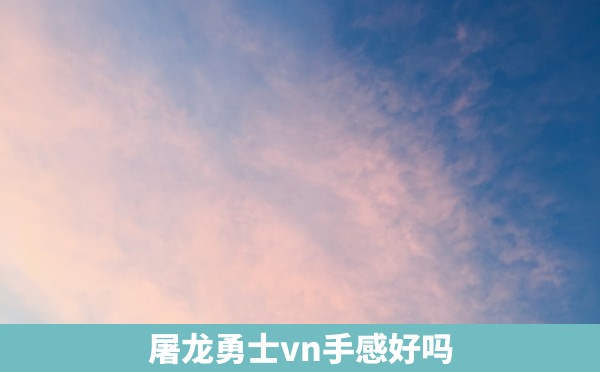 屠龙勇士vn手感好吗