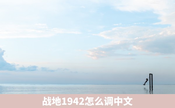 战地1942怎么调中文