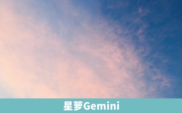 星萝Gemini