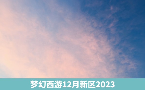 梦幻西游12月新区2023