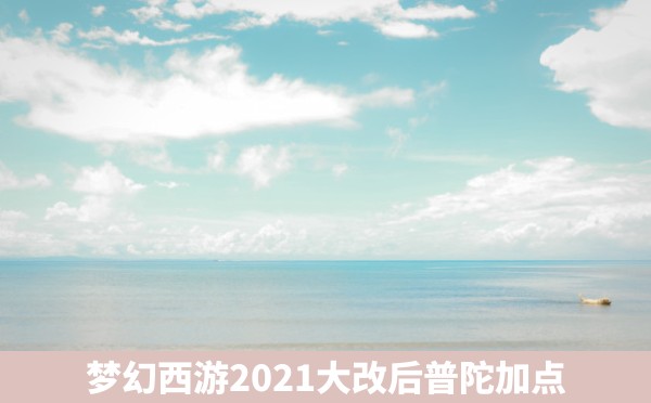 梦幻西游2021大改后普陀加点