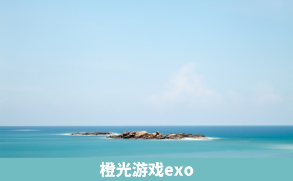 橙光游戏exo