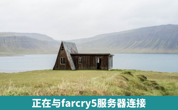 正在与farcry5服务器连接