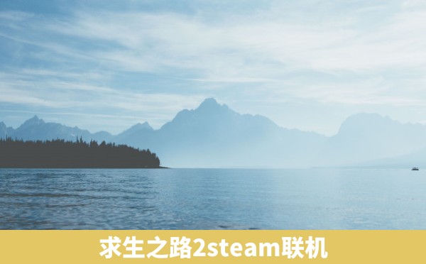 求生之路2steam联机