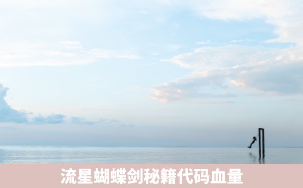 流星蝴蝶剑秘籍代码血量