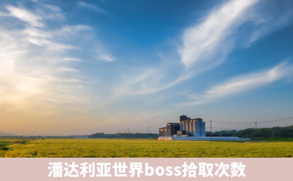 潘达利亚世界boss拾取次数