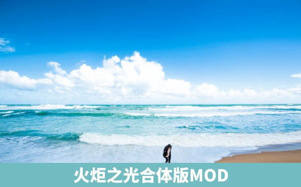 火炬之光合体版MOD