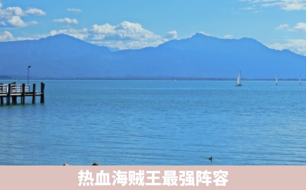 热血海贼王最强阵容