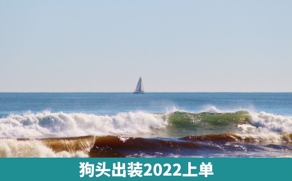 狗头出装2022上单