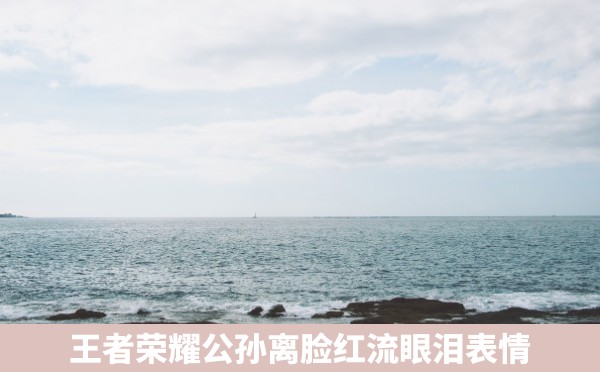 王者荣耀公孙离脸红流眼泪表情