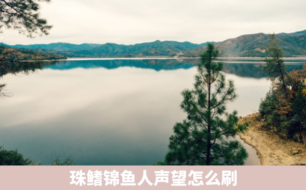 珠鳍锦鱼人声望怎么刷