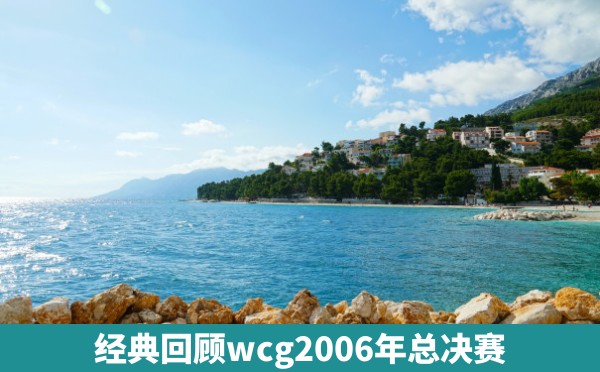 经典回顾wcg2006年总决赛