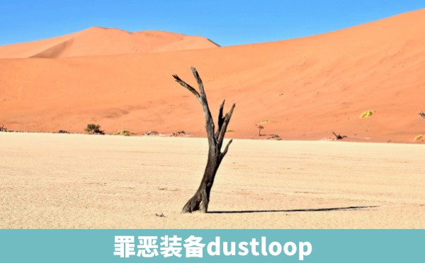 罪恶装备dustloop