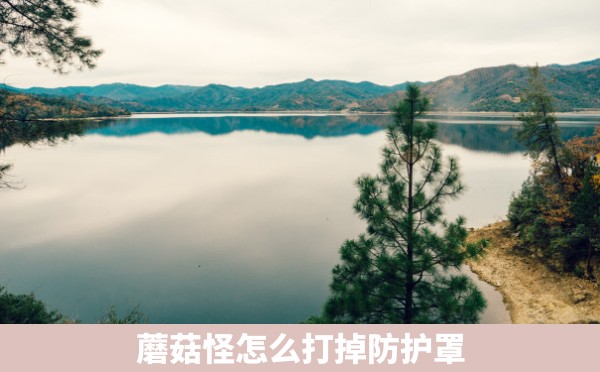 蘑菇怪怎么打掉防护罩