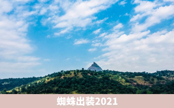 蜘蛛出装2021