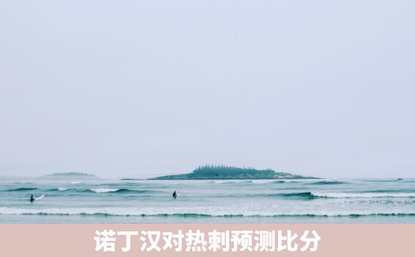 诺丁汉对热刺预测比分