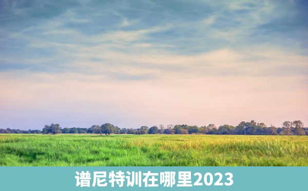 谱尼特训在哪里2023