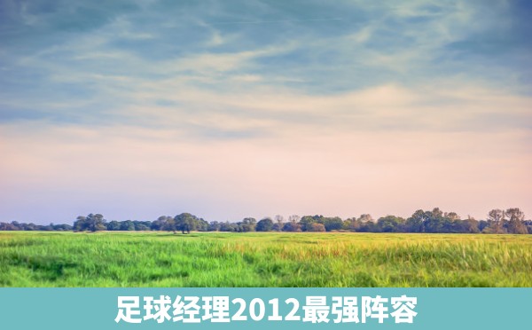 足球经理2012最强阵容