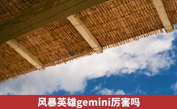 风暴英雄gemini厉害吗