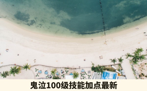 鬼泣100级技能加点最新