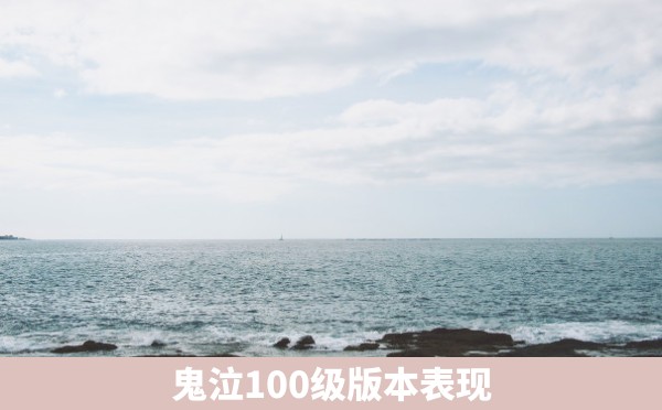 鬼泣100级版本表现