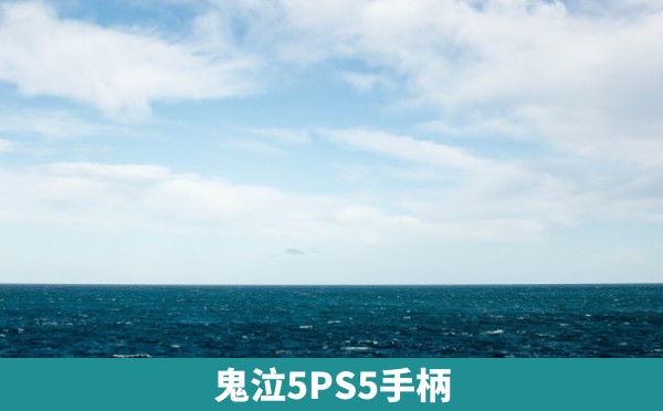 鬼泣5PS5手柄