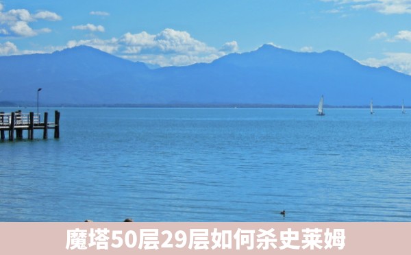 魔塔50层29层如何杀史莱姆