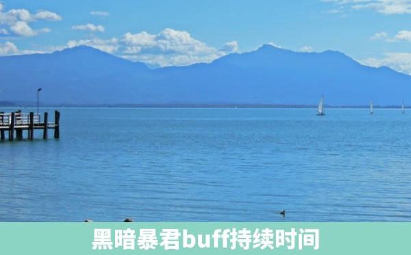 黑暗暴君buff持续时间