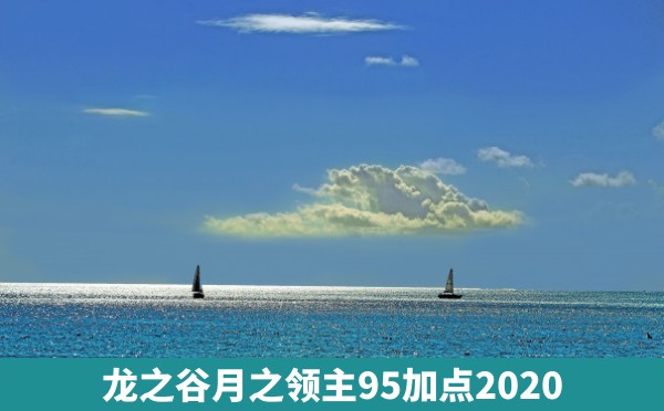 龙之谷月之领主95加点2020