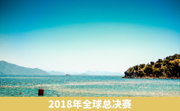 2018年全球总决赛