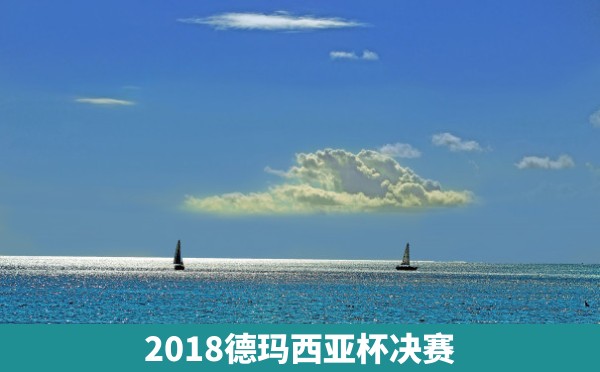 2018德玛西亚杯决赛