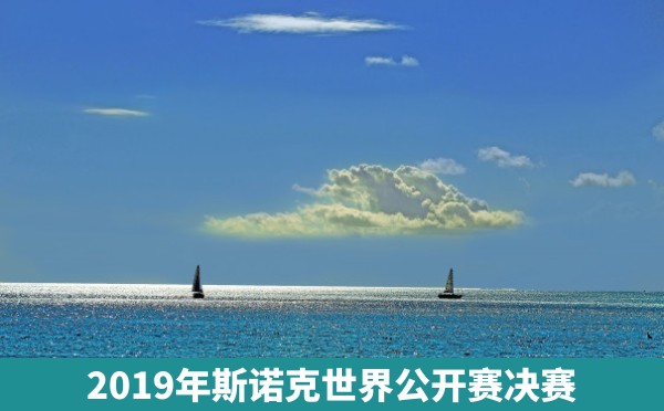 2019年斯诺克世界公开赛决赛