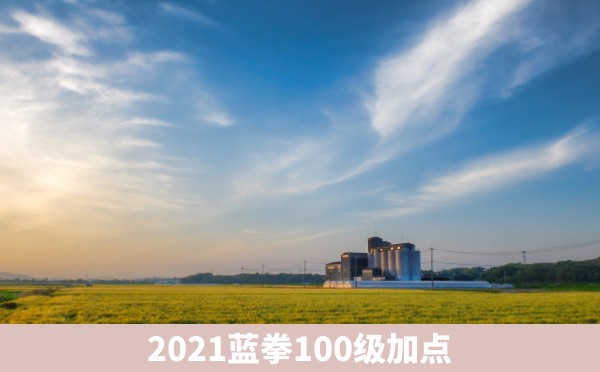 2021蓝拳100级加点