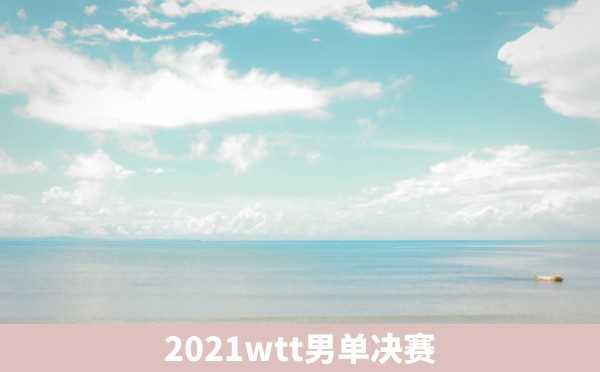 2021wtt男单决赛