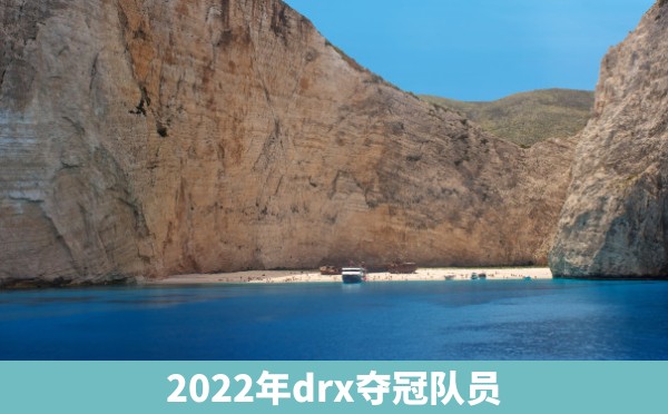 2022年drx夺冠队员