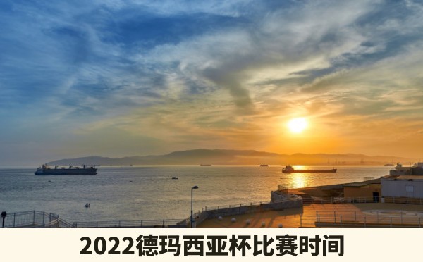 2022德玛西亚杯比赛时间