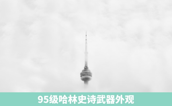 95级哈林史诗武器外观