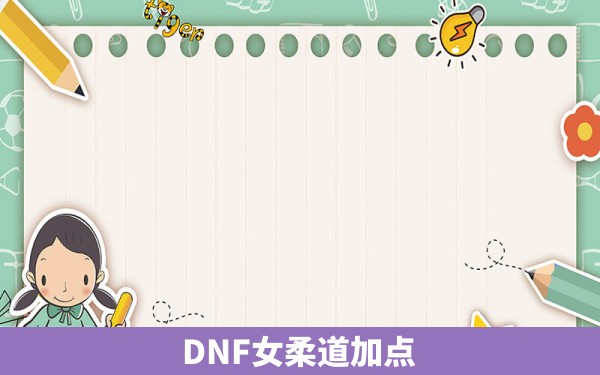 DNF女柔道加点