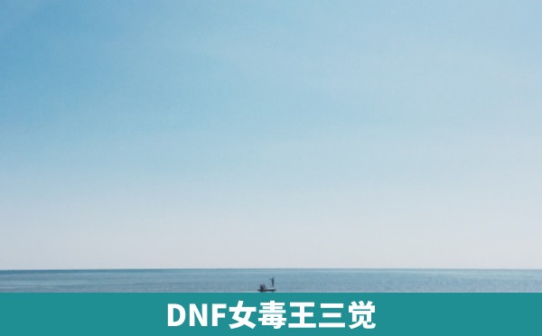 DNF女毒王三觉