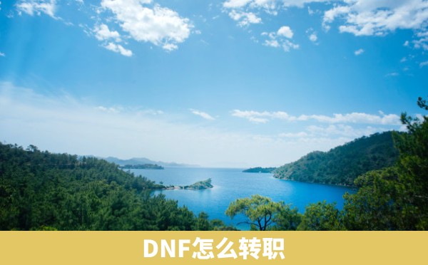 DNF怎么转职