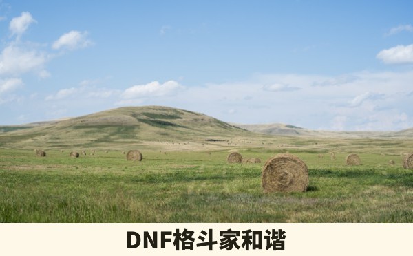 DNF格斗家和谐